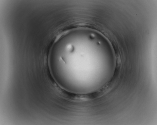 X0000114200559200910161227