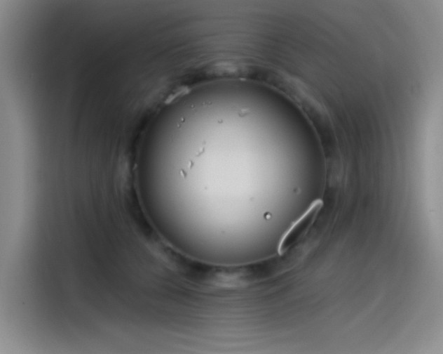 X0000114200560200910161227