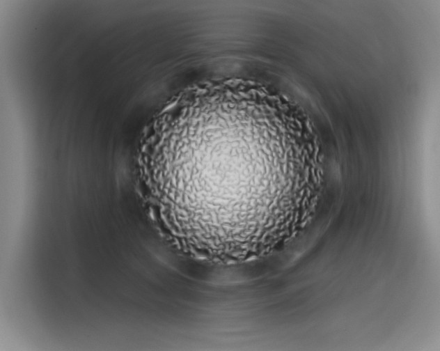 X0000114200561200910161227