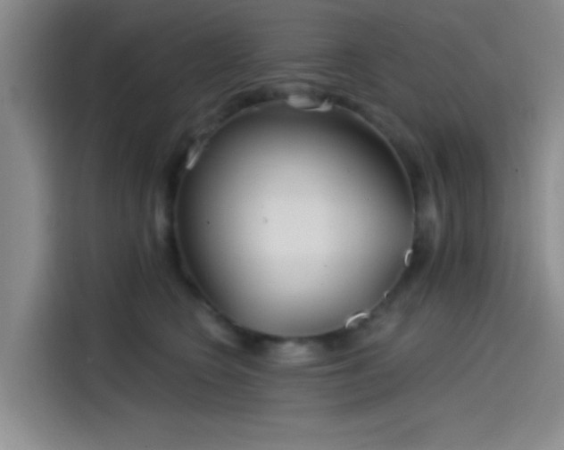 X0000114200566200910161227