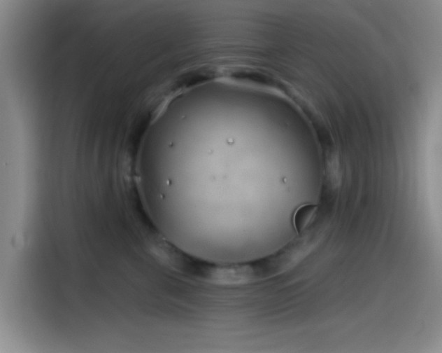 X0000114200571200910161227