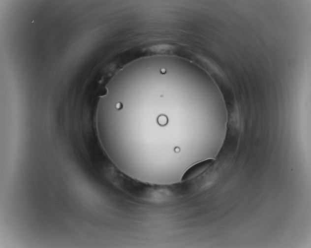 X0000114200572200910161227