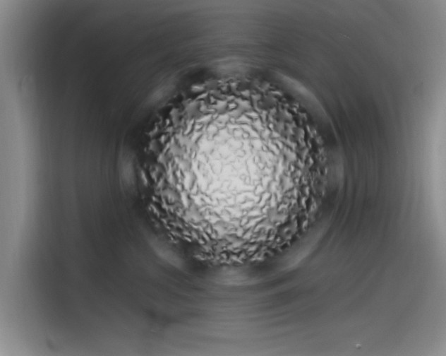 X0000114200573200910161227