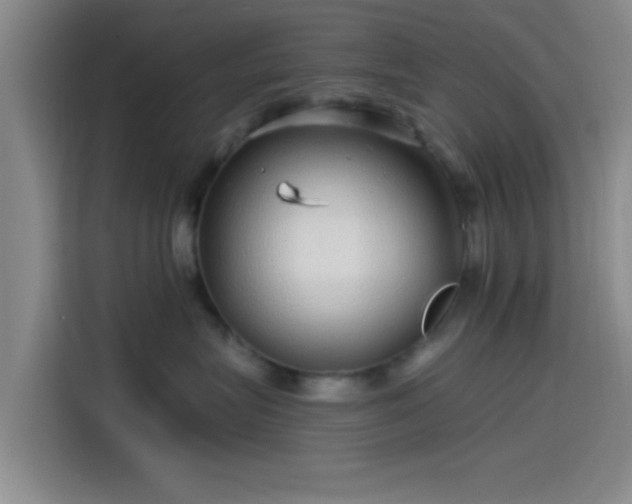 X0000114200575200910161227