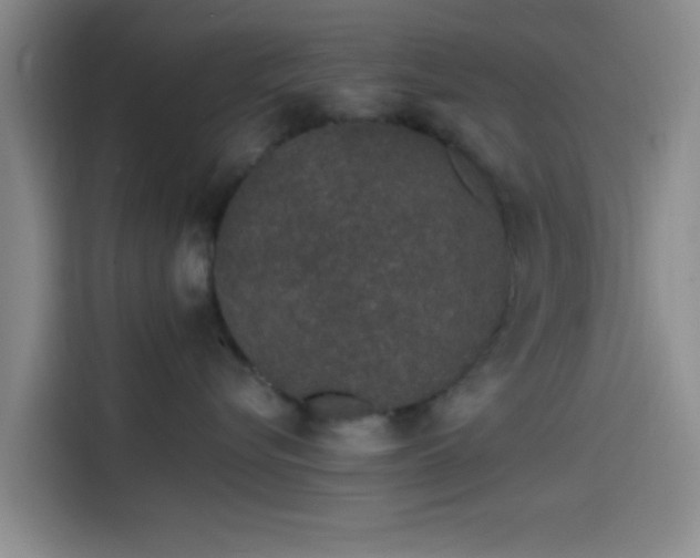 X0000114200576200910161227