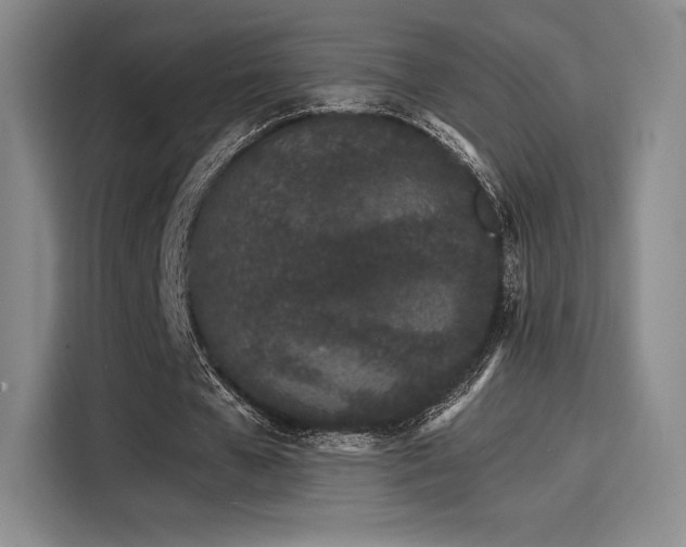 X0000114200577200910161226