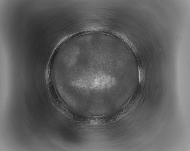 X0000114200579200910161226