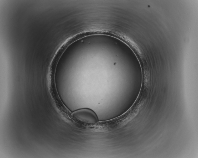 X0000114200580200910161226