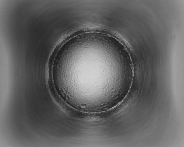 X0000114200582200910161226