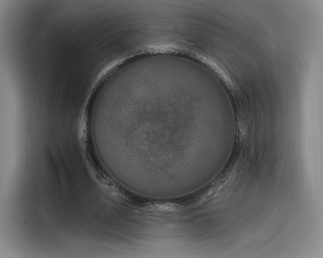 X0000114200583200910161226