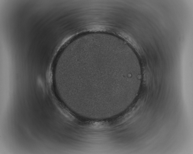 X0000114200584200910161226