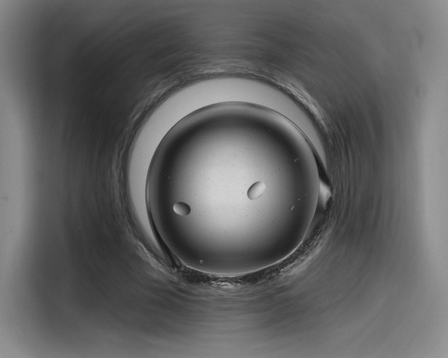 X0000114200585200910161226