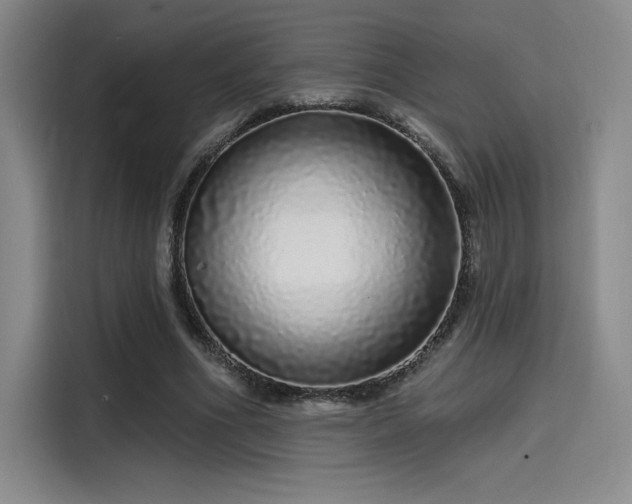 X0000114200586200910161226