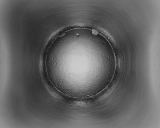 X0000114200588200910161226