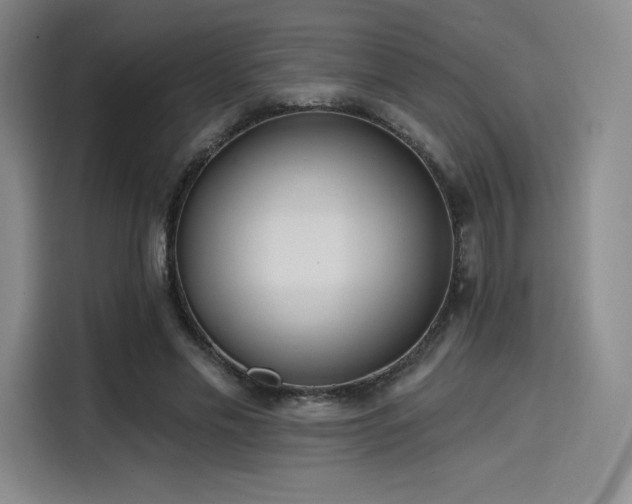 X0000114200589200910161226