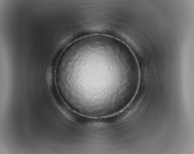 X0000114200590200910161226