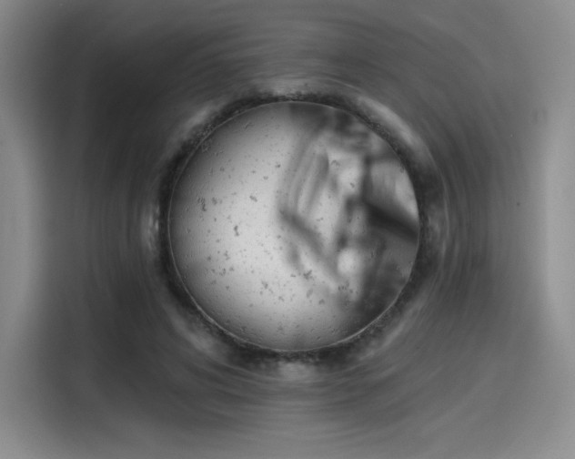 X0000114200592200910161226