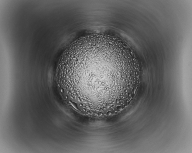 X0000114200594200910161226