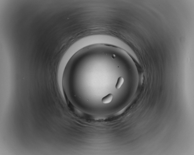 X0000114200595200910161226