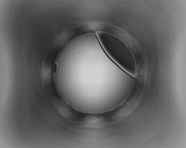 X0000114200597200910161226