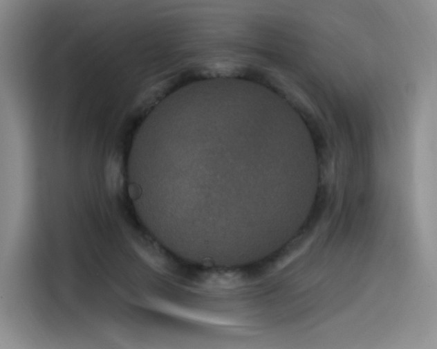 X0000114200599200910161226