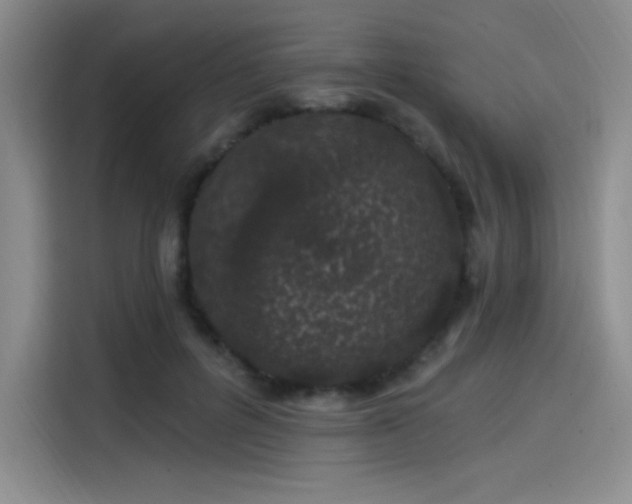 X0000114200600200910161226