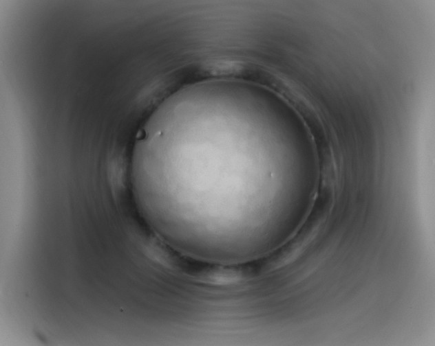 X0000114200604200910161226