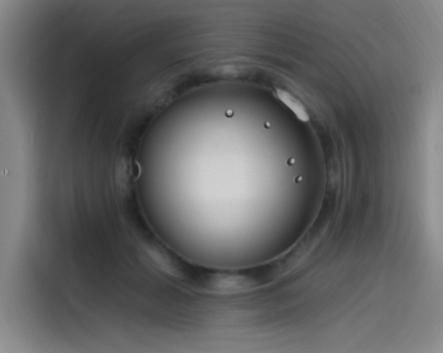 X0000114200605200910161226