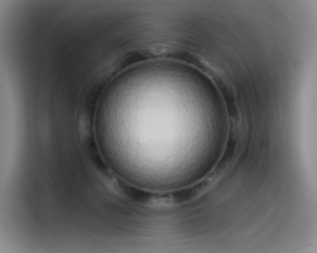 X0000114200606200910161226