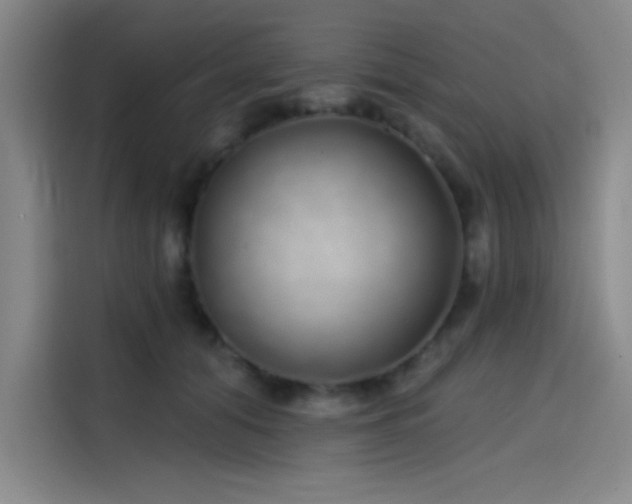 X0000114200608200910161226