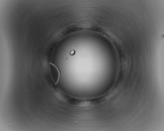 X0000114200609200910161226