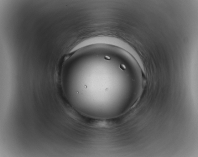 X0000114200611200910161226