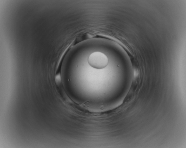 X0000114200613200910161226