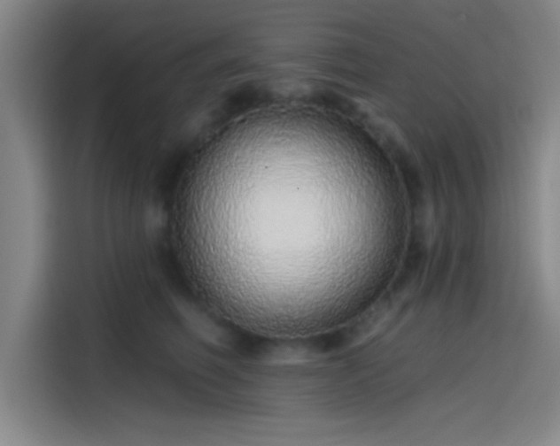 X0000114200614200910161226