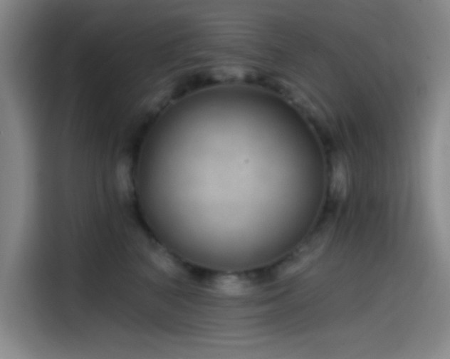 X0000114200616200910161226