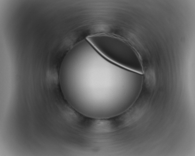 X0000114200617200910161226