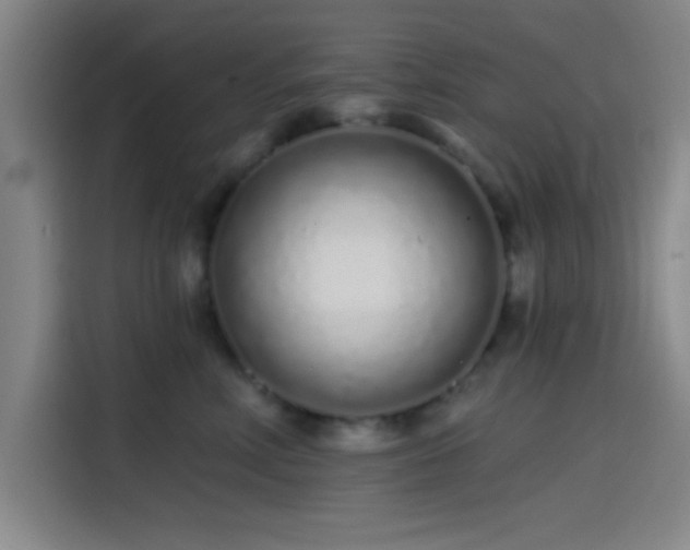 X0000114200618200910161226