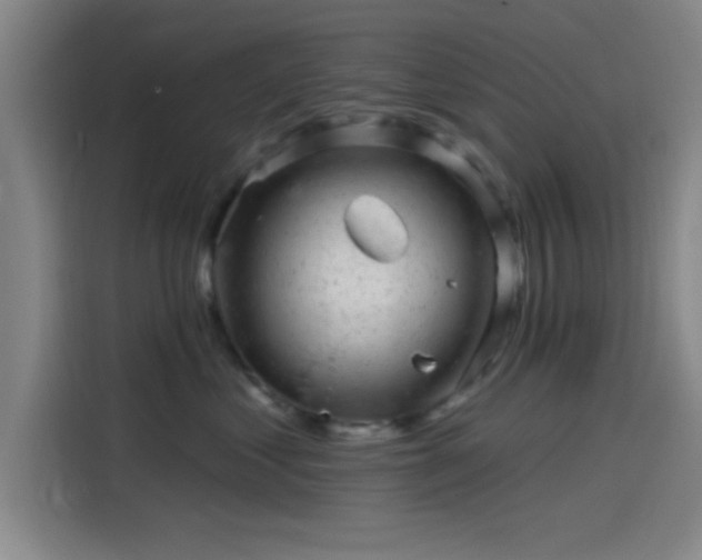 X0000114200621200910161226