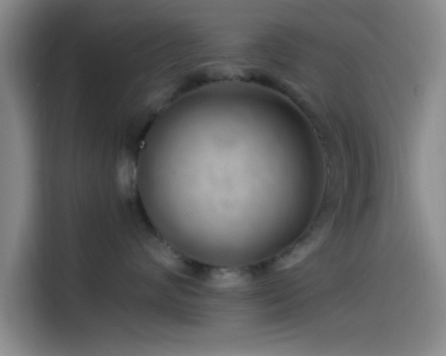 X0000114200624200910161226