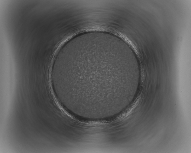 X0000114200625200910161225