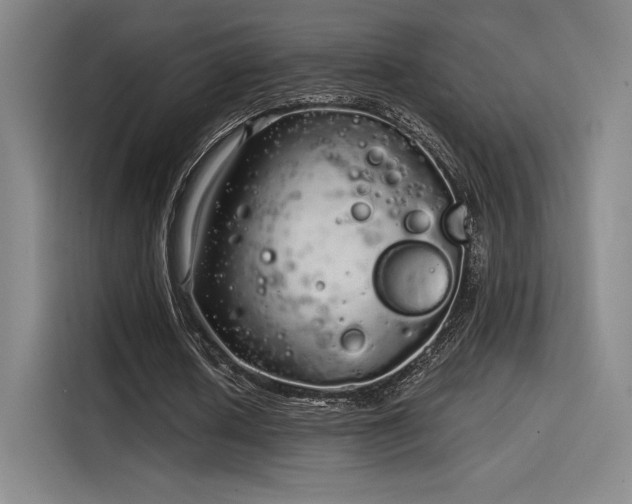 X0000114200626200910161225