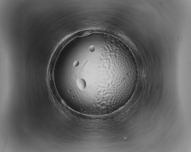 X0000114200628200910161225