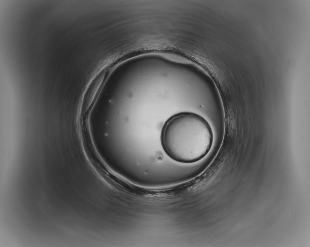 X0000114200630200910161225