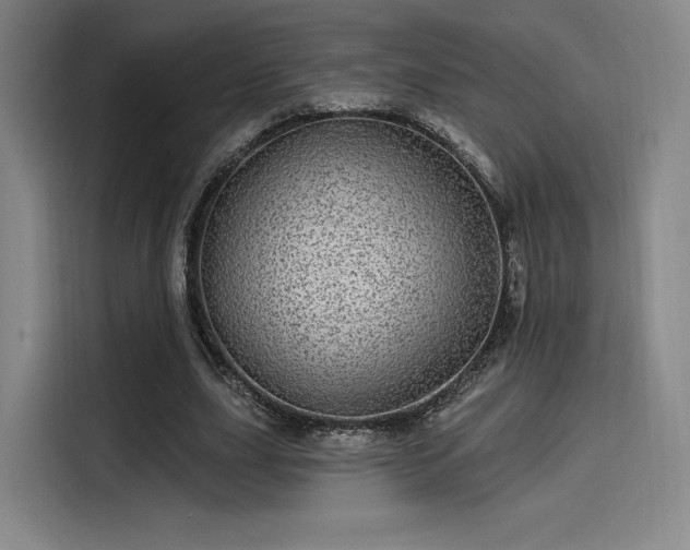 X0000114200631200910161225