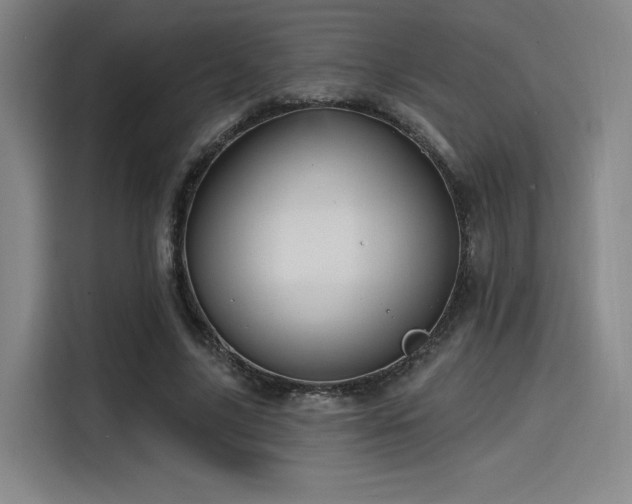 X0000114200635200910161225