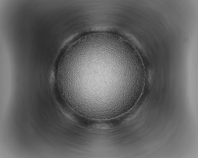 X0000114200636200910161225