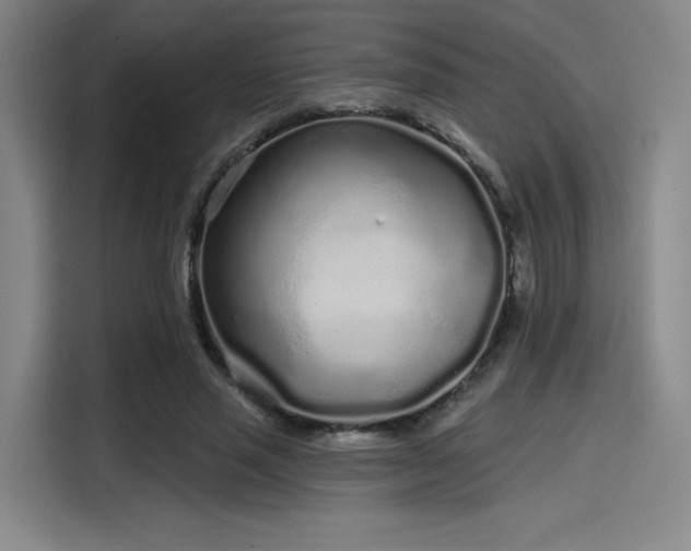 X0000114200637200910161225