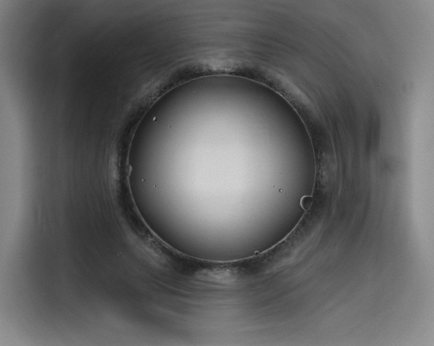 X0000114200639200910161225