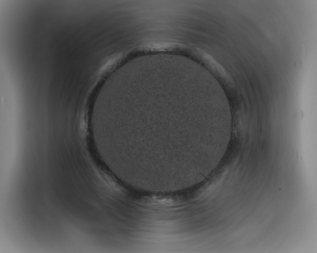 X0000114200640200910161225