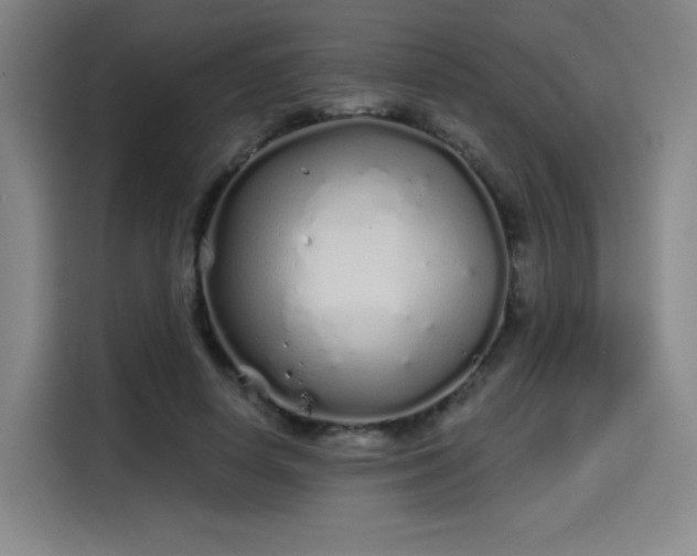 X0000114200642200910161225